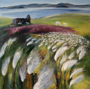 Bog Cotton
